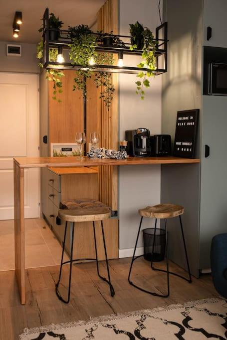 קלוז'-נאפוקה Blue Moon. Cozy Apartment Near Iulius Mall מראה חיצוני תמונה