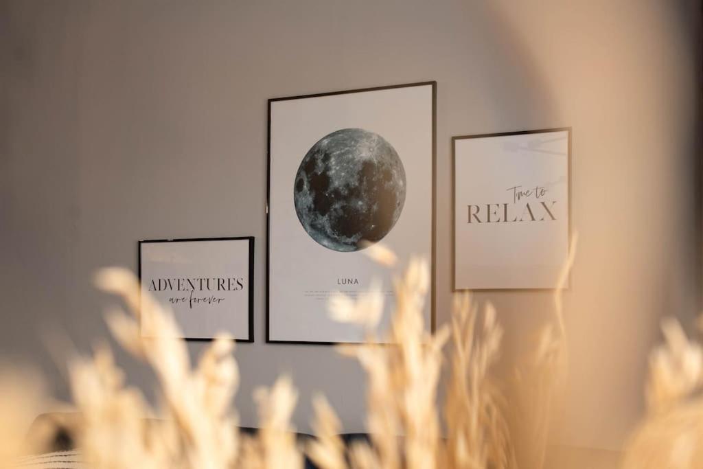 קלוז'-נאפוקה Blue Moon. Cozy Apartment Near Iulius Mall מראה חיצוני תמונה
