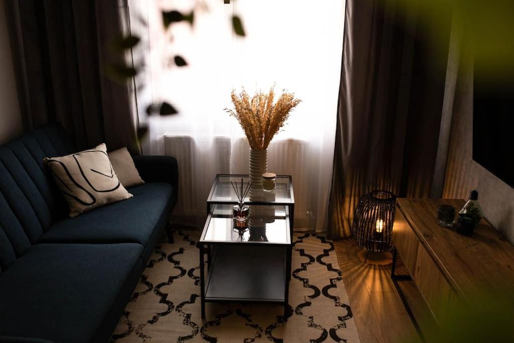 קלוז'-נאפוקה Blue Moon. Cozy Apartment Near Iulius Mall מראה חיצוני תמונה