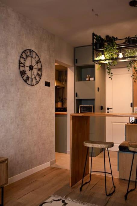 קלוז'-נאפוקה Blue Moon. Cozy Apartment Near Iulius Mall מראה חיצוני תמונה